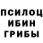 Галлюциногенные грибы мицелий Ivanna 29