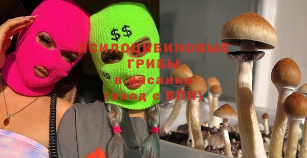 дживик Абаза