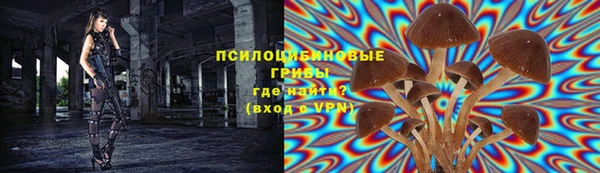a pvp Алексеевка