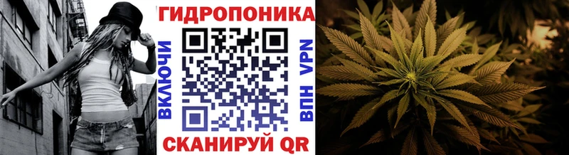 МАРИХУАНА индика  как найти наркотики  Прохладный 